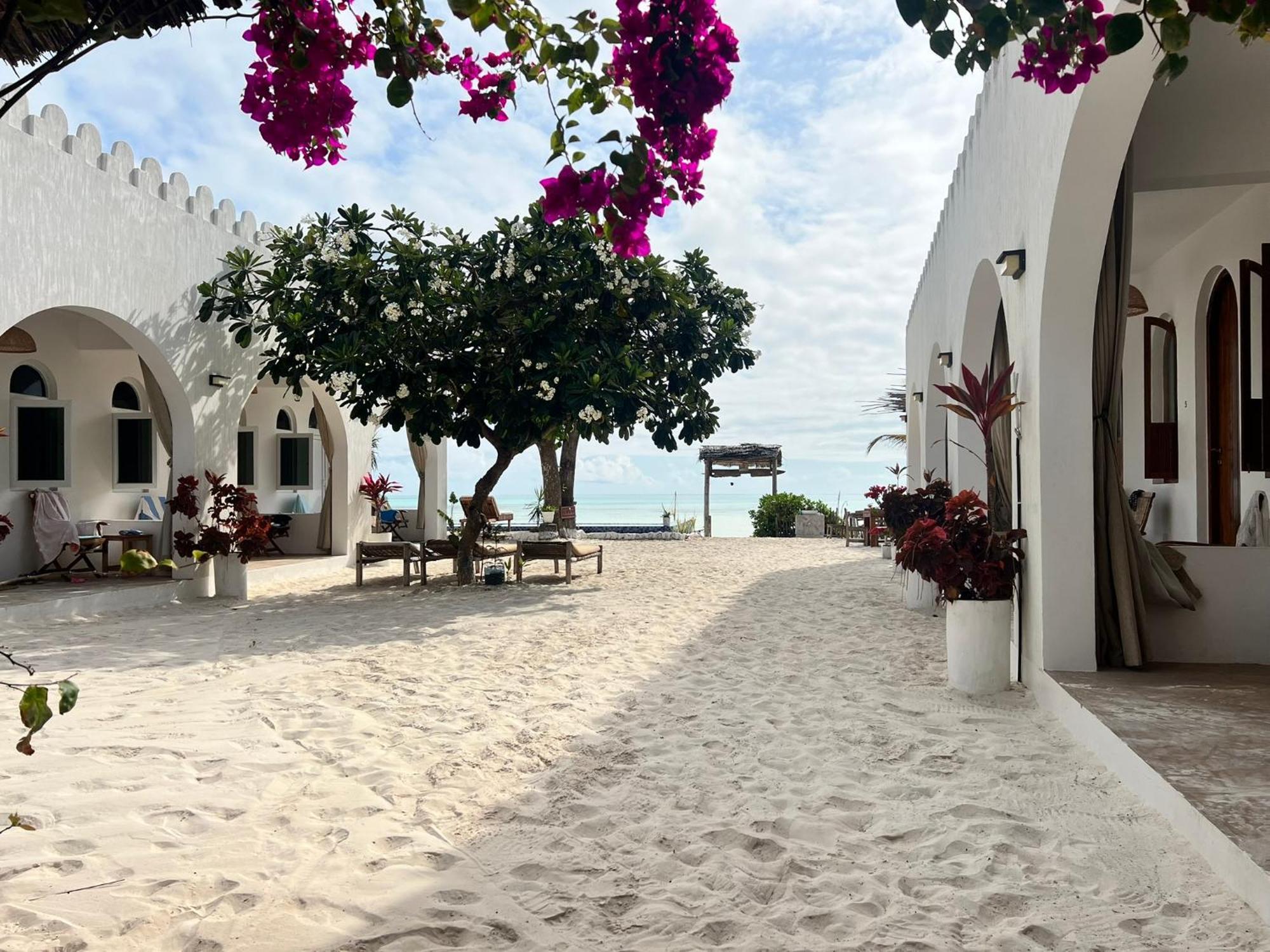 Coco Beach Hotel Jambiani  Eksteriør billede